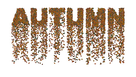 Falling Autumn Leaves.
