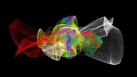 Five Colour Murmuration