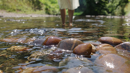 Wild Water to Cool Your Feet.